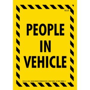"People in Vehicle" Panel